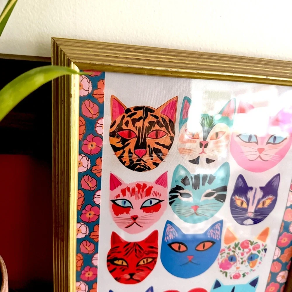 N/A eclectic cat